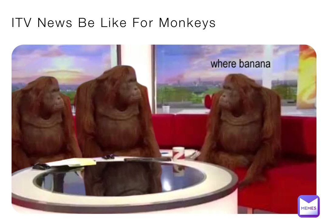 ITV News Be Like For Monkeys