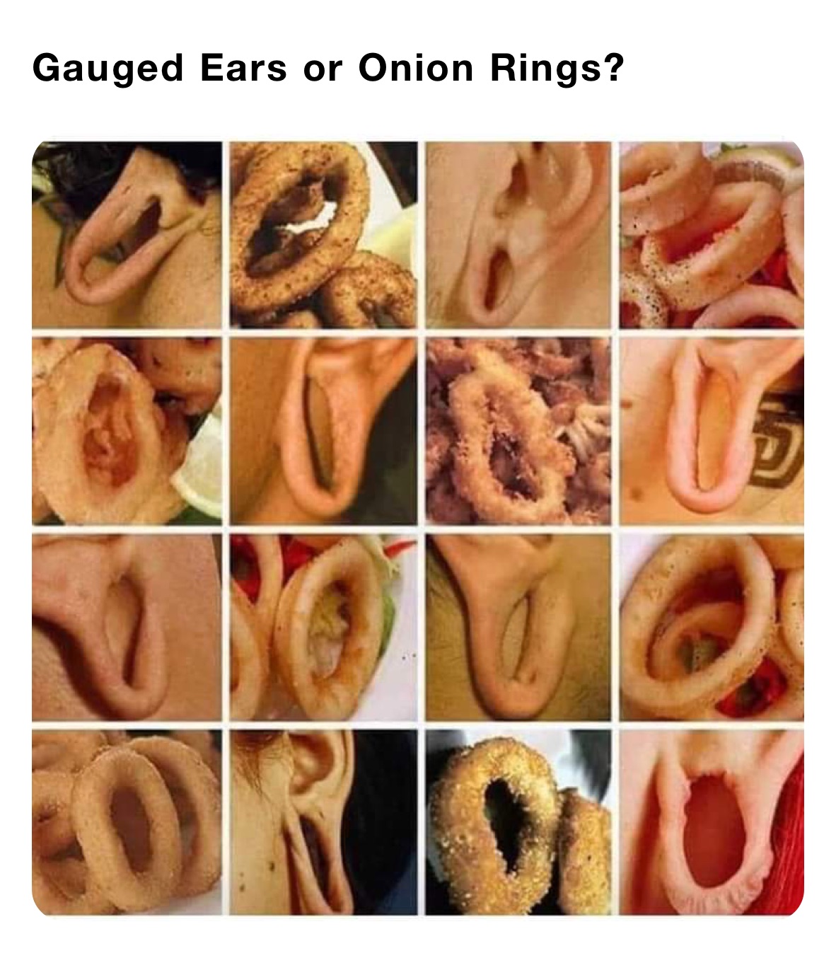 Gauged Ears or Onion Rings?