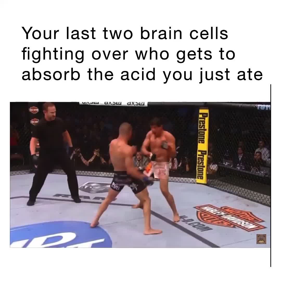 your-last-two-brain-cells-fighting-over-who-gets-to-absorb-the-acid-you