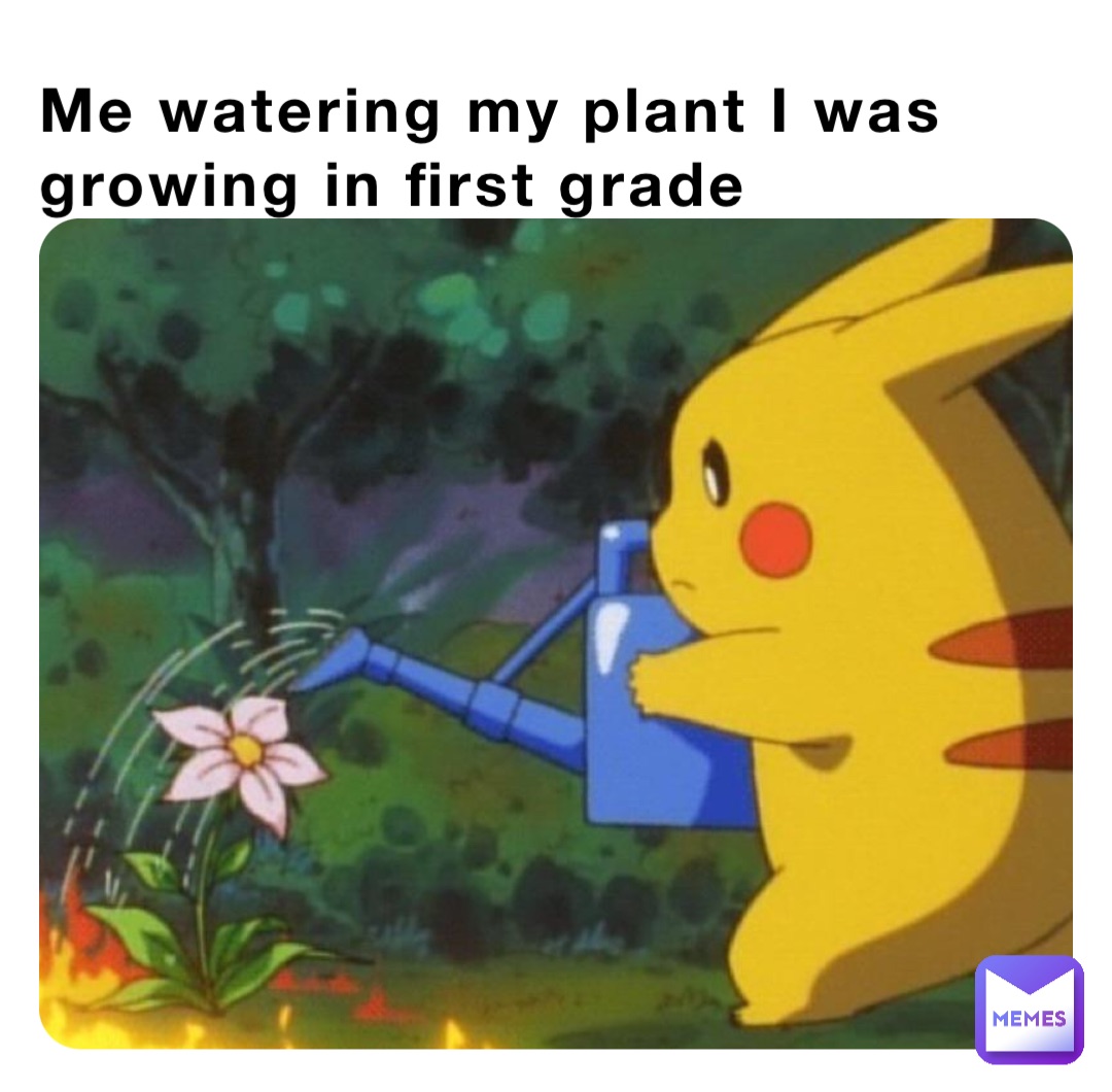 Me watering my plant I was growing in first grade