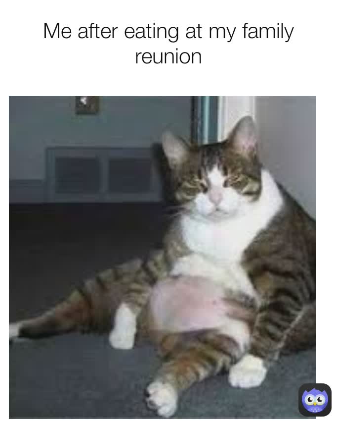 Me After Eating At My Family Reunion Me after eating at my family reunion Me after eating at my family reunion