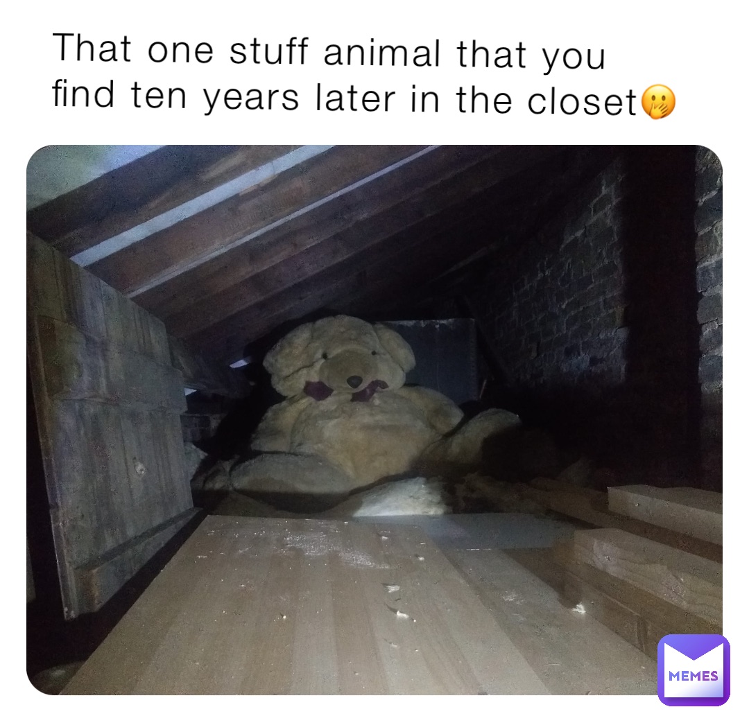 That one stuff animal that you find ten years later in the closet🫢