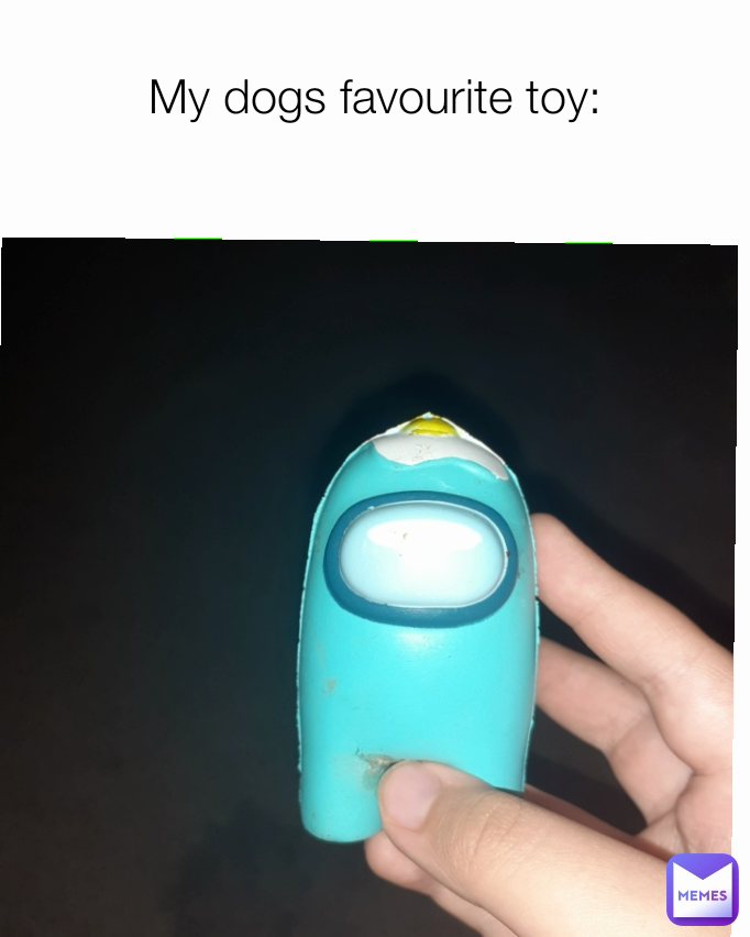 My dogs favourite toy: