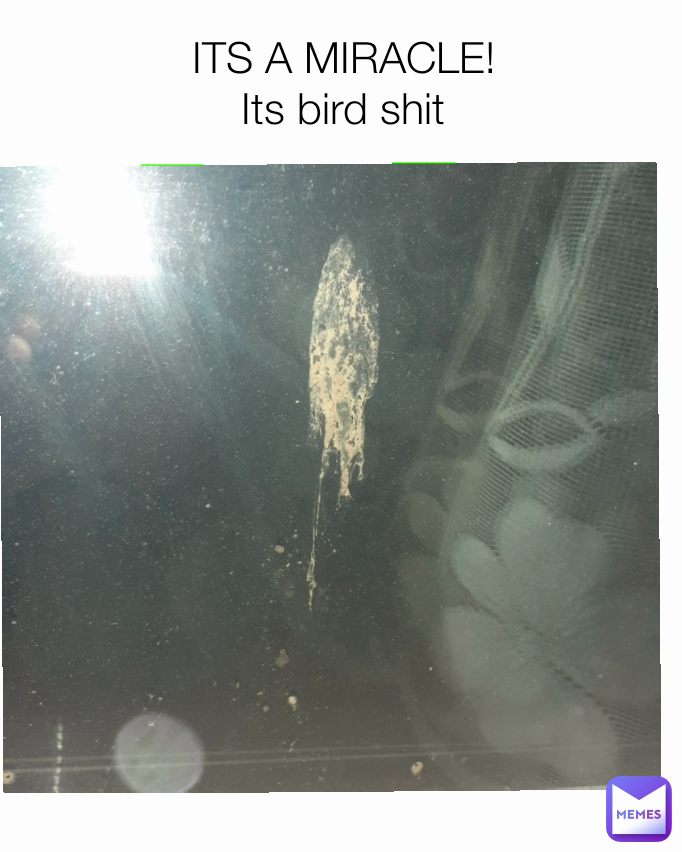 Meme by FlunkyDogMemes