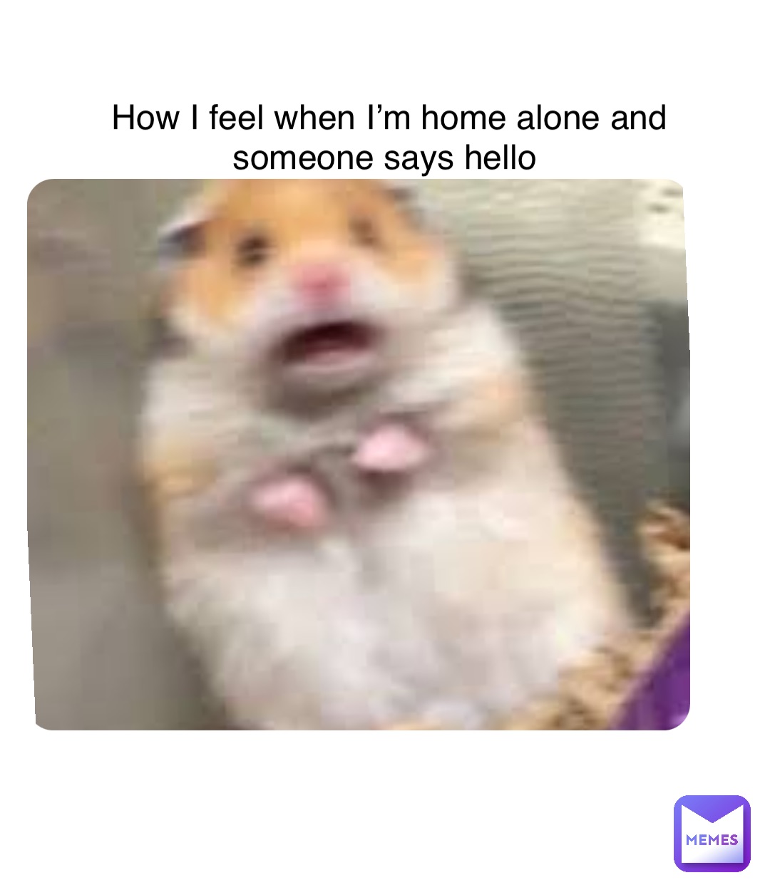 Meme by Sunflowerlunam