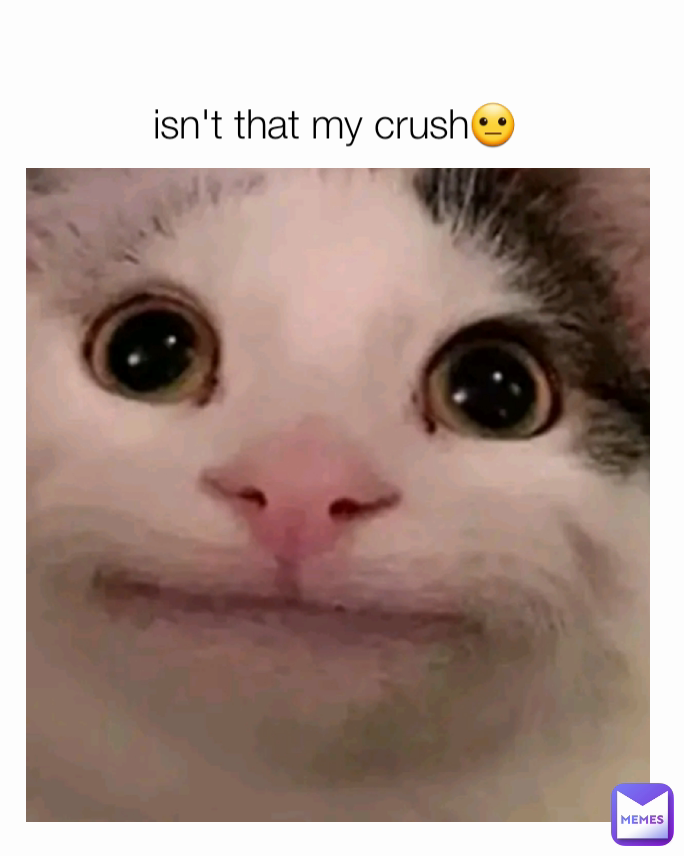 isn't that my crush😐
