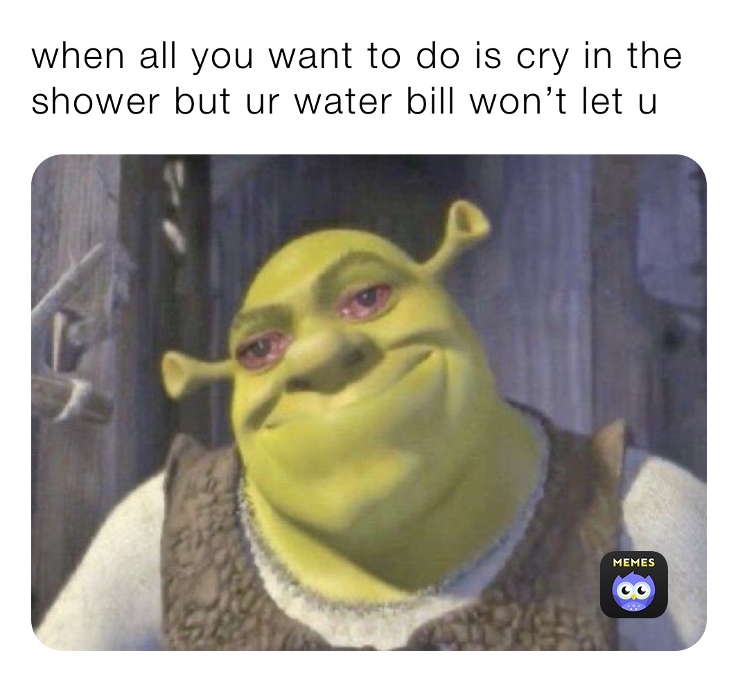 When All You Want To Do Is Cry In The Shower But Ur Water Bill Won T Let U Its Ur Gurl Memes