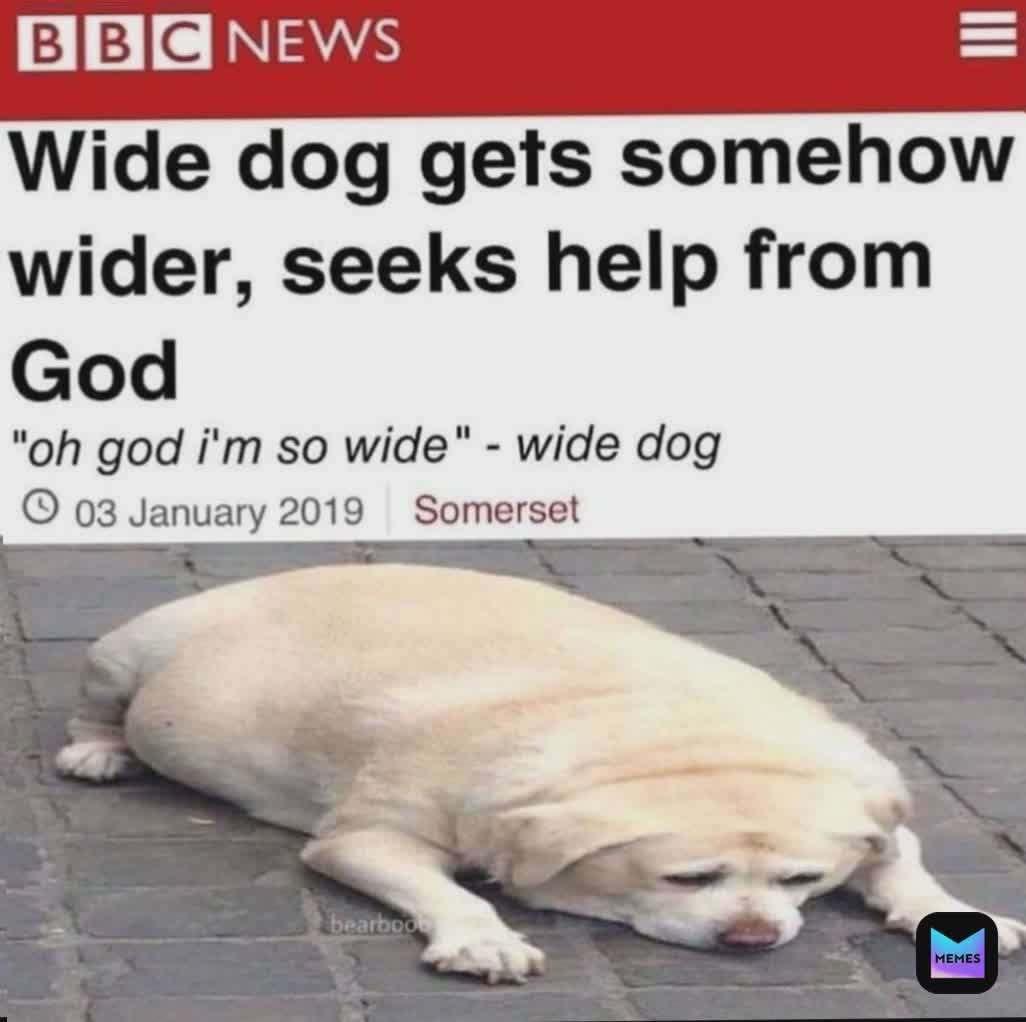 Meme by MerciifulReality