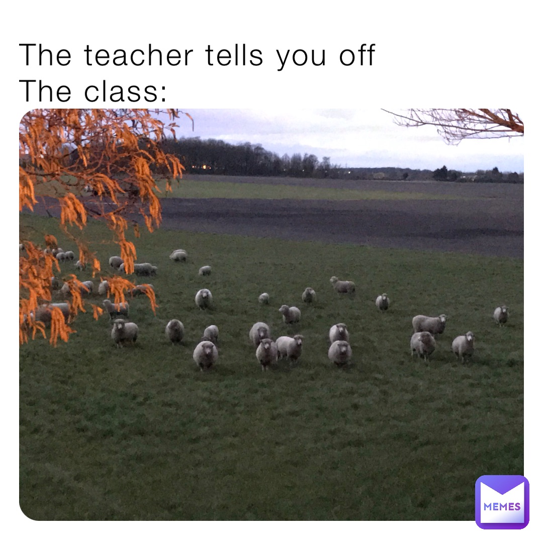 The teacher tells you off
The class: