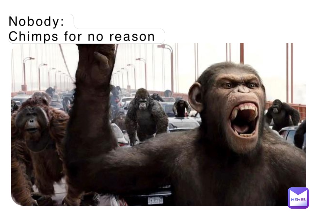 Nobody:
Chimps for no reason