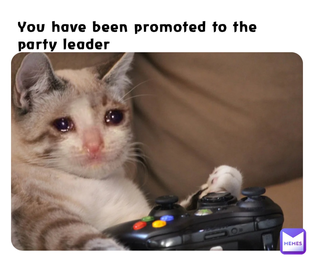 You have been promoted to the party leader