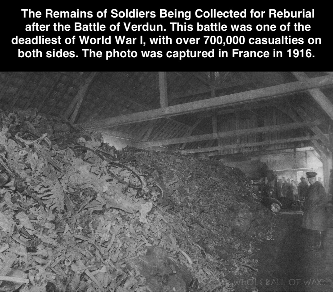 Double tap to edit Double tap to edit The Remains of Soldiers Being Collected for Reburial after the Battle of Verdun. This battle was one of the deadliest of World War I, with over 700,000 casualties on both sides. The photo was captured in France in 1916.