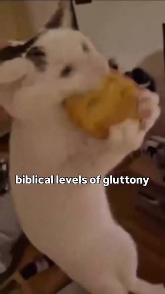 Meme by deathkorpscommander