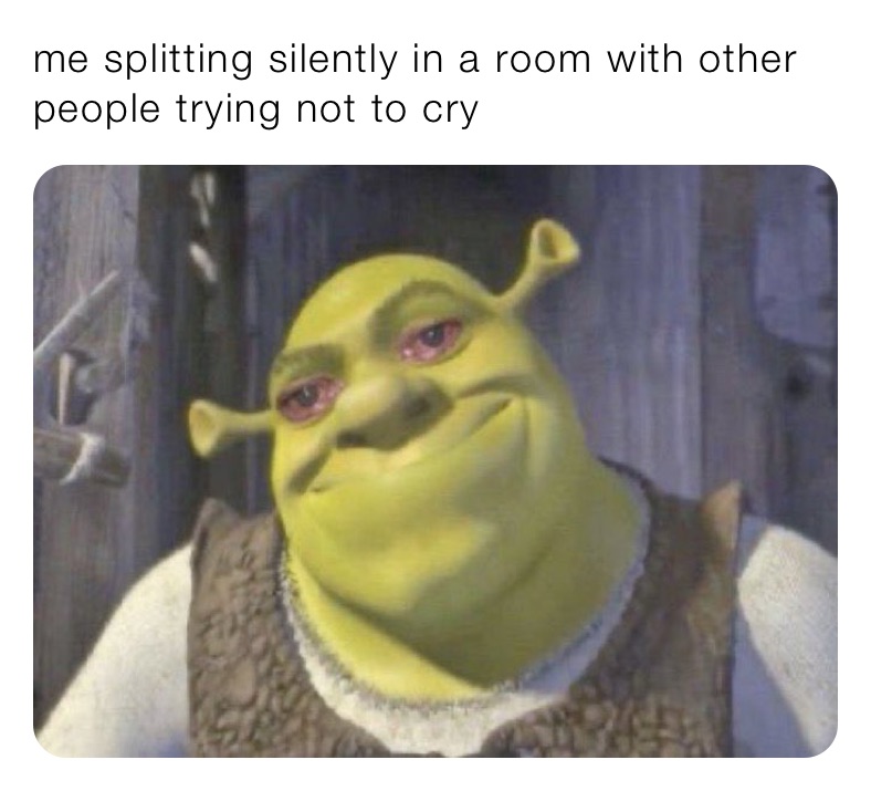 me splitting silently in a room with other people trying not to cry