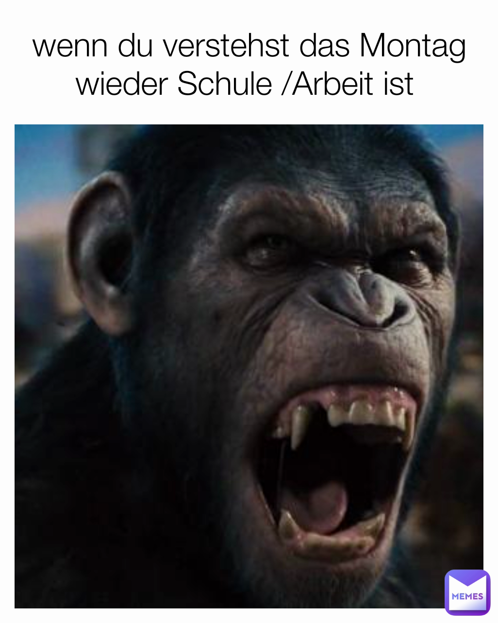 wenn du verstehst das Montag wieder Schule /Arbeit ist 