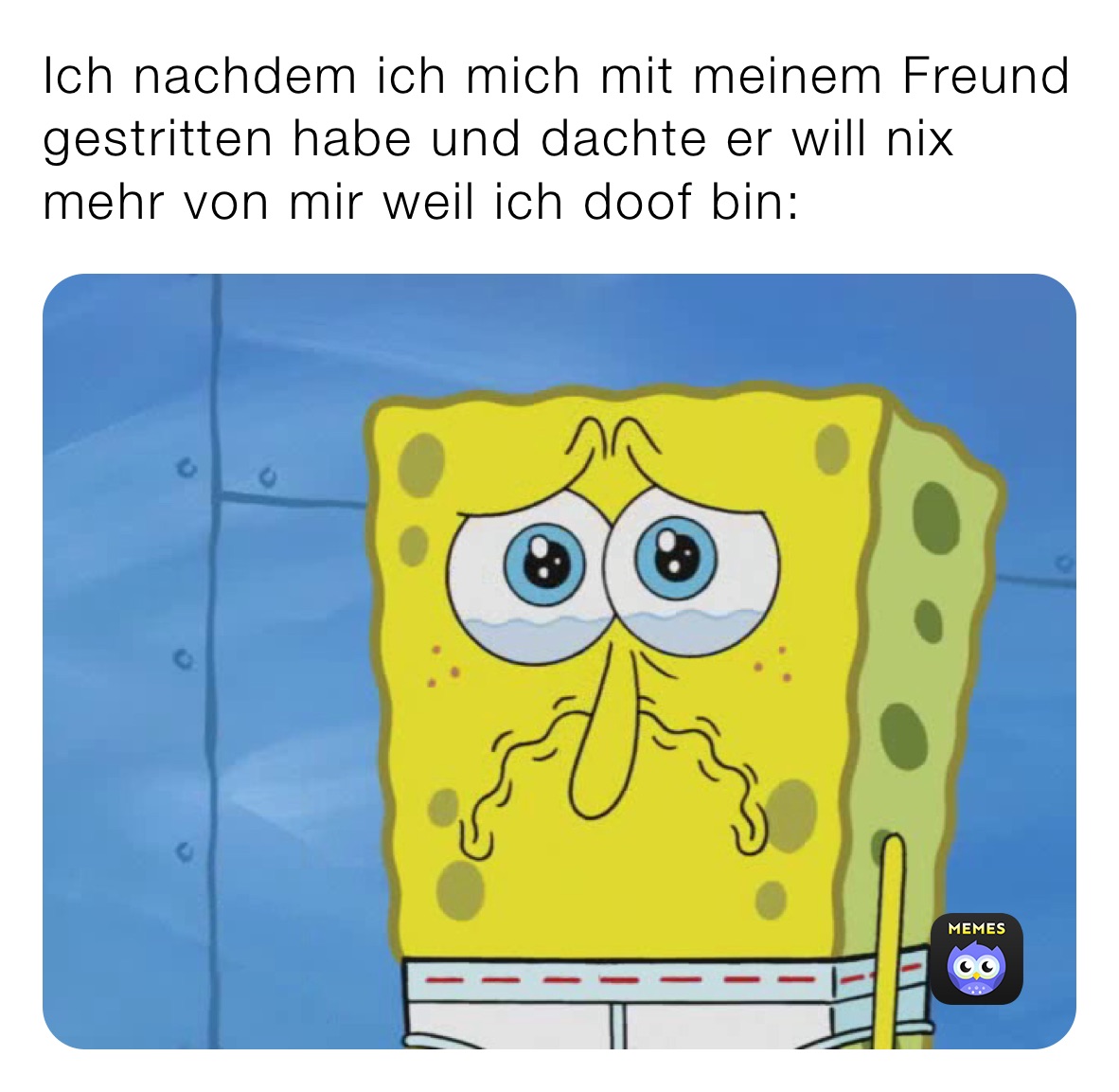 Ich nachdem ich mich mit meinem Freund gestritten habe und dachte er will nix mehr von mir weil ich doof bin: 