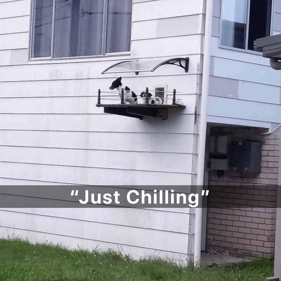 “Just Chilling”