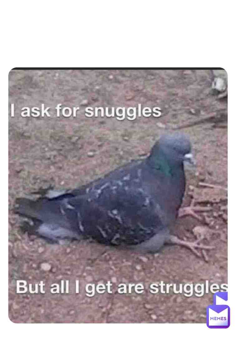 Meme preview