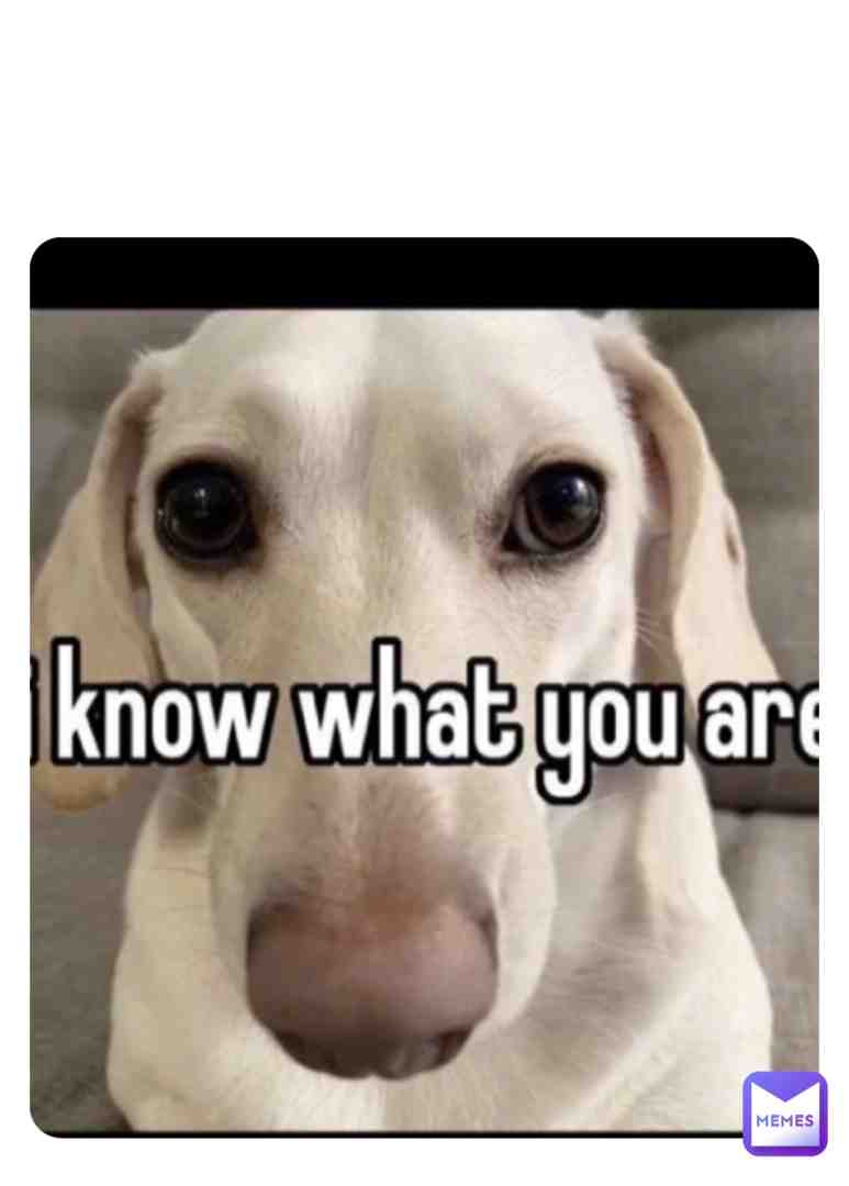 Meme preview