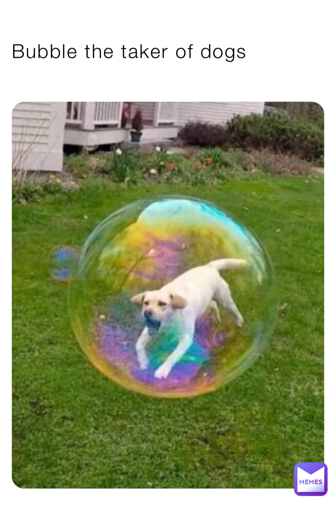 Meme by mr_cursed_image