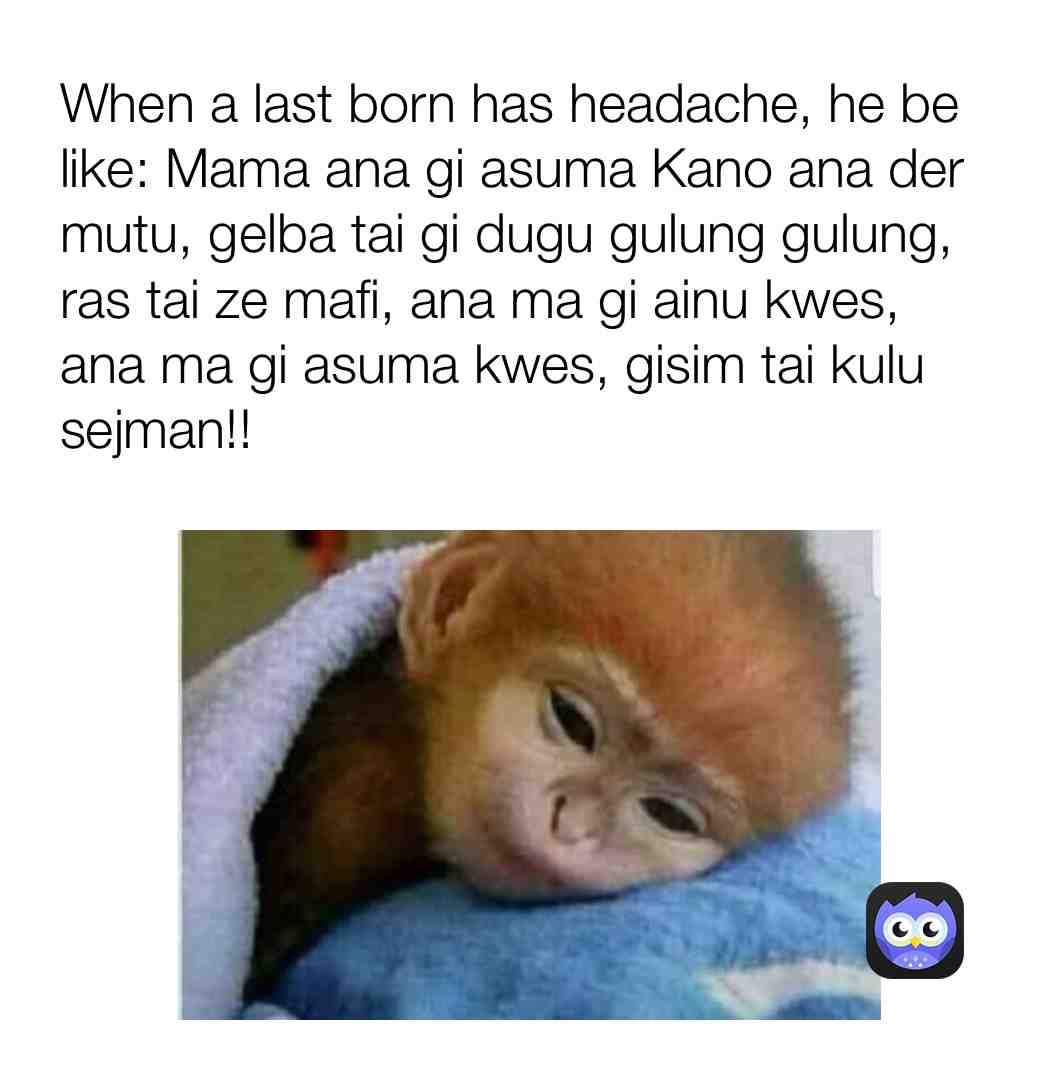 Meme shared by @Junub_Adik_TV