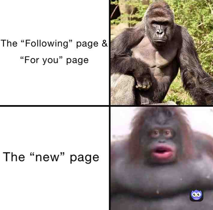 Meme preview
