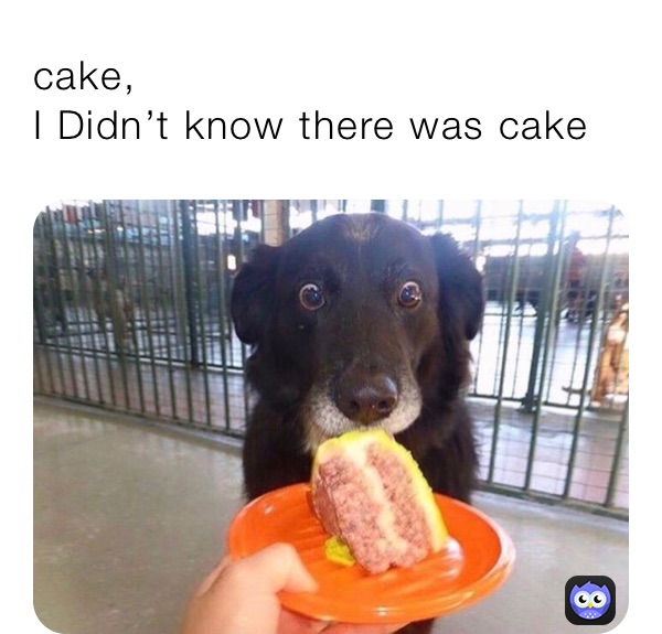 cake, 
I Didn’t know there was cake  cake, I Didn’t know there was cake 