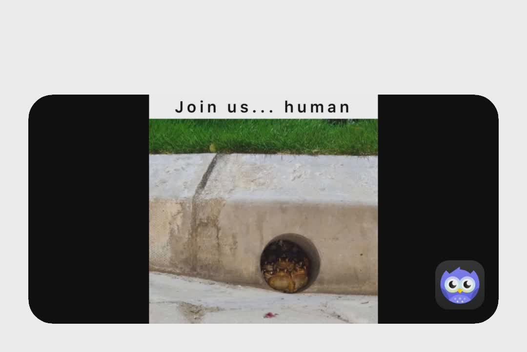 Meme by Onescaredboi