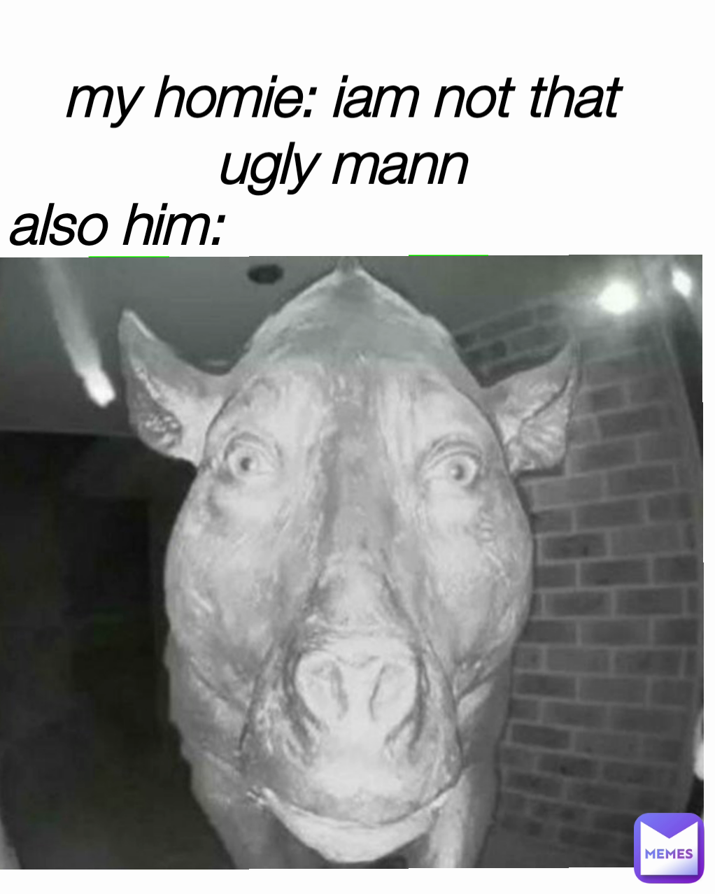 my homie: iam not that ugly mann also him: | @irineskoo | Memes