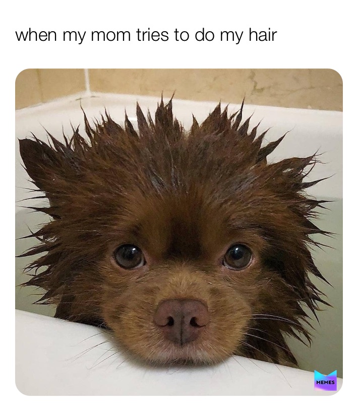 Meme by that_one_stranger_things_fane