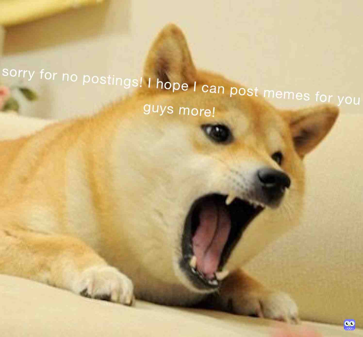 #doggomemes  # #sorryfornotposting
