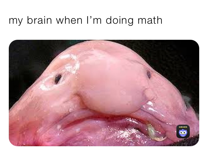 my brain when I’m doing math