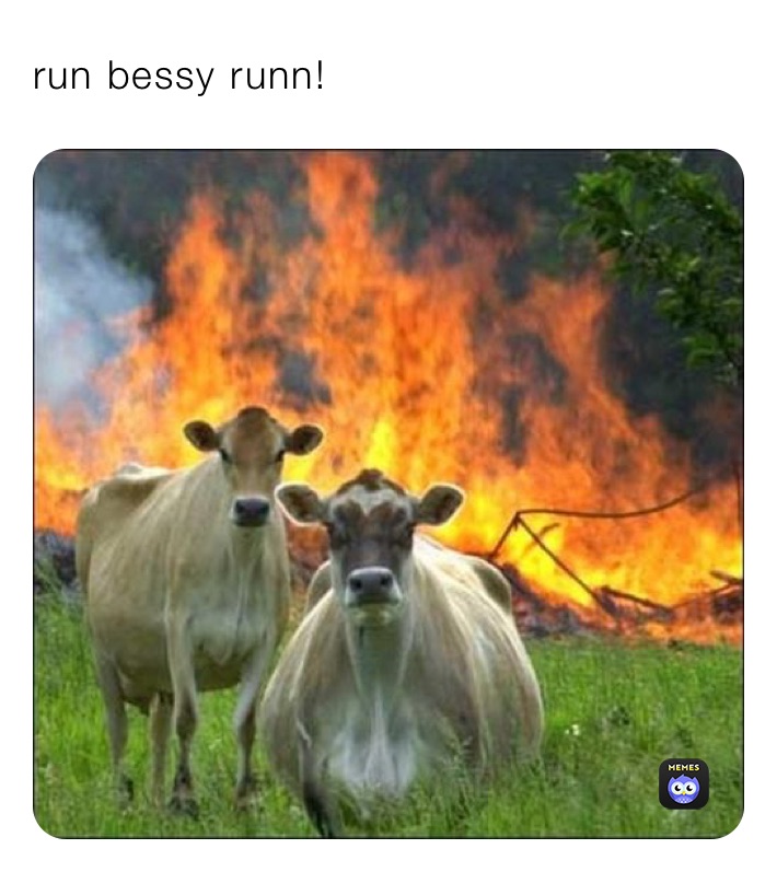 run bessy runn!