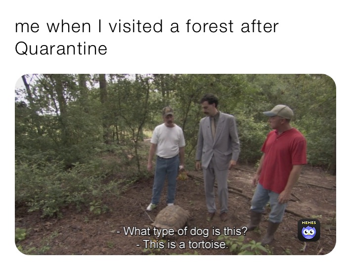 me when I visited a forest after Quarantine