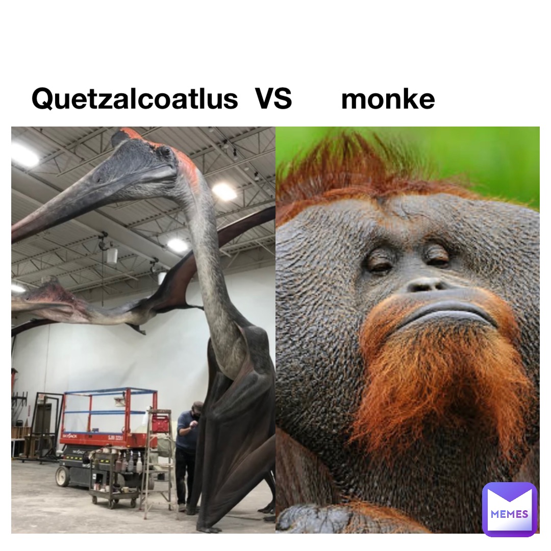 Quetzalcoatlus  VS      monke