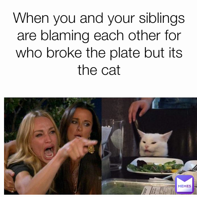 When you and your siblings are blaming each other for who broke the plate but its the cat