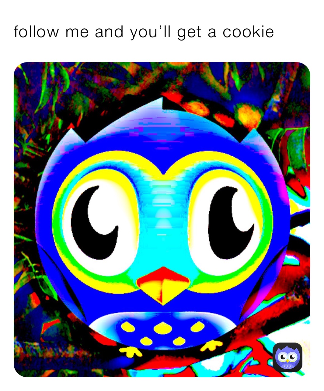 follow me and you’ll get a coockie