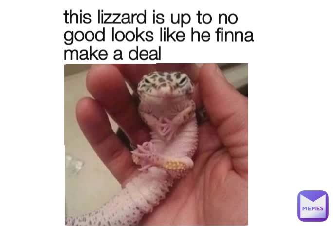 this lizzard is up to no good looks like he finna make a deal