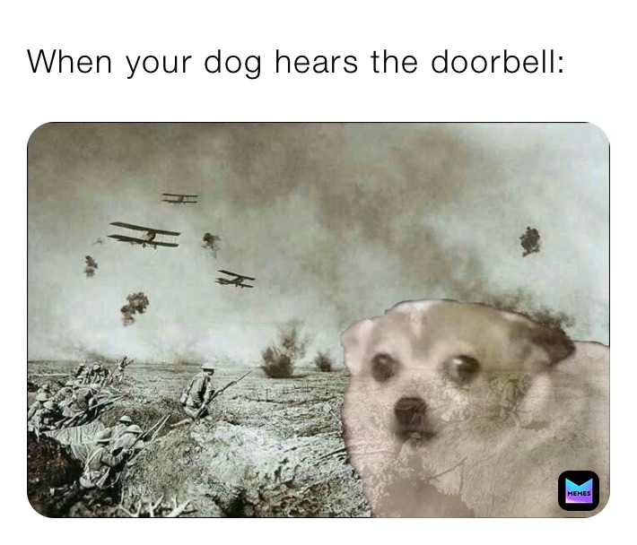 Meme by itsQuandaleDingle