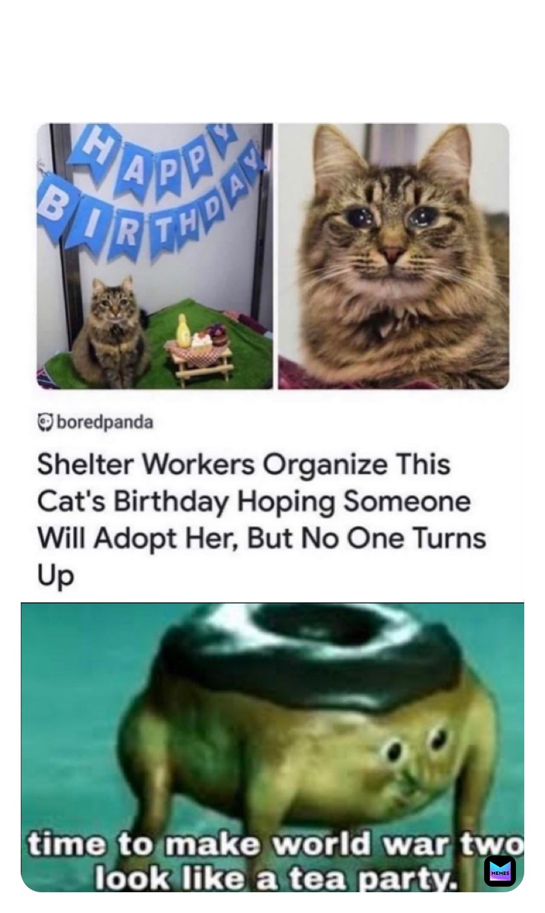 Meme by knee_cap_destroyer