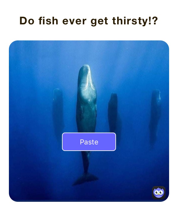 Do fish ever get thirsty!?