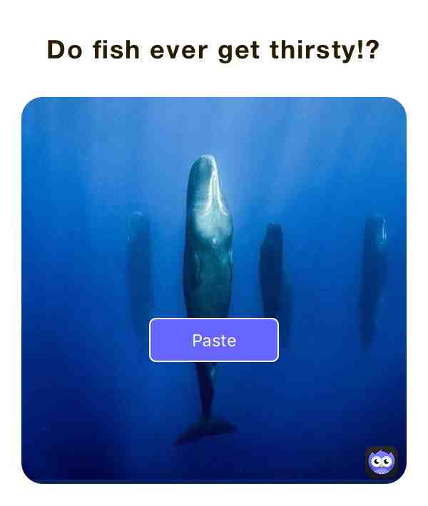 Just can’t stop wondering.. do they!?😂 #karmasabitch #funny #fish #questions