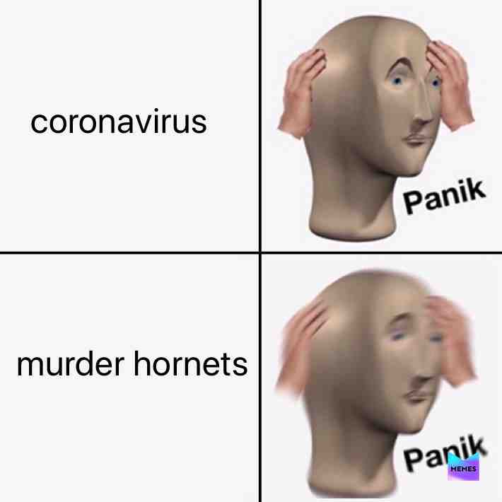 Meme shared by @chassion