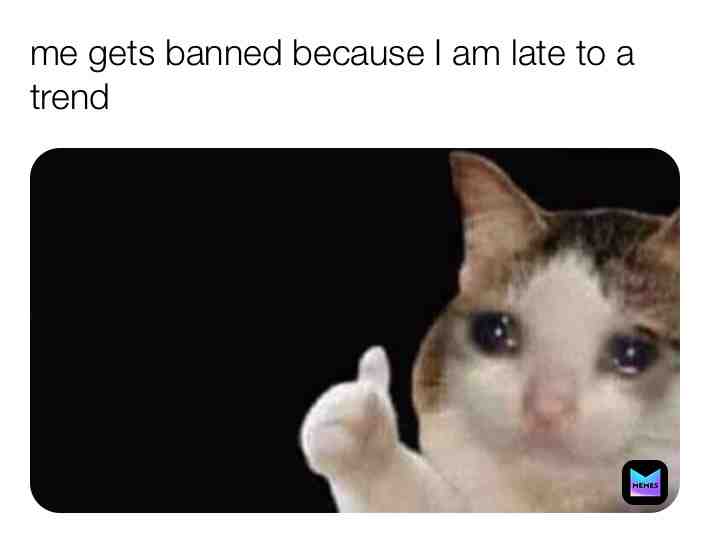 Meme shared by @chassion