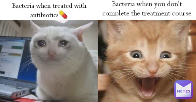 Bacteria when you don't complete the treatment course Bacteria when treated with antibiotics💊