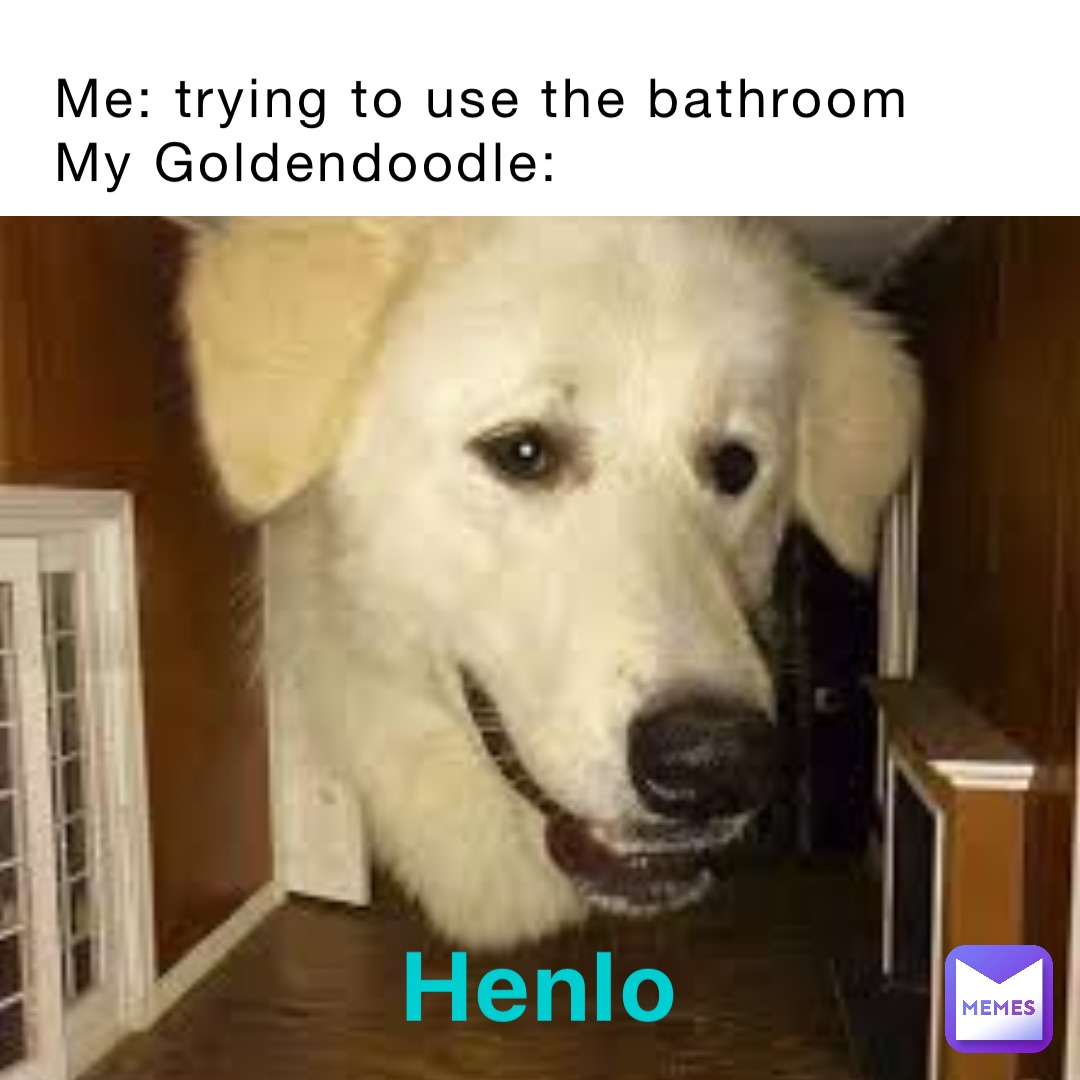 Meme by GamingXFiles