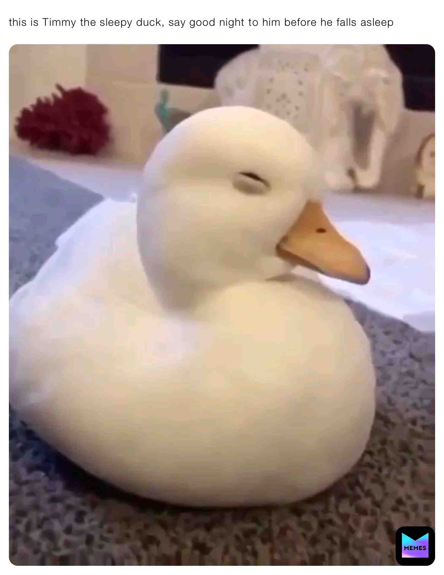 Meme shared by @S0sig