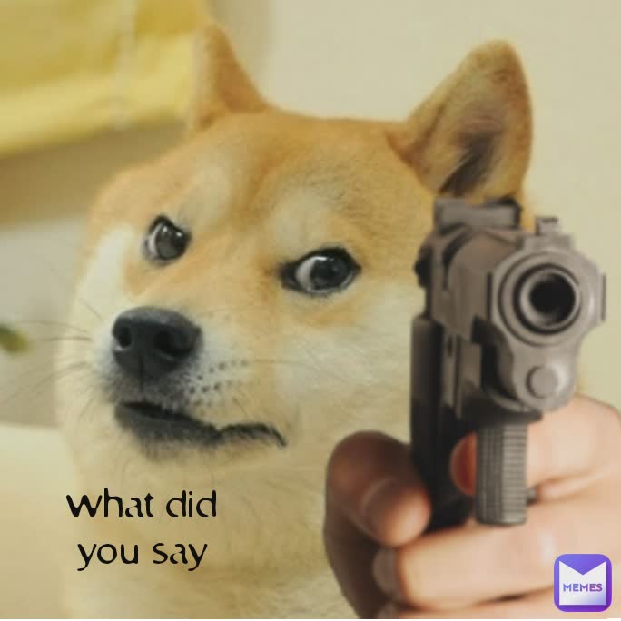 what did you say