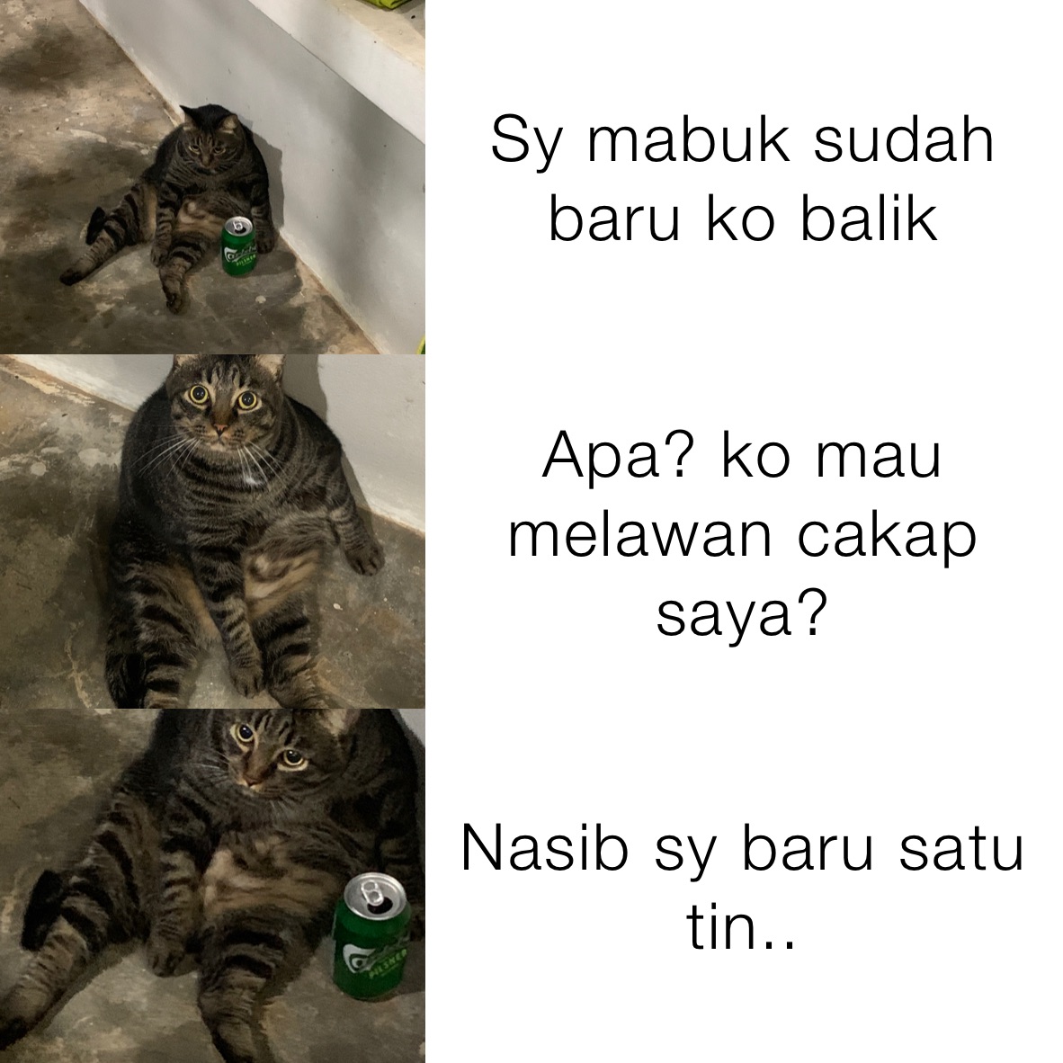 Sy mabuk sudah baru ko balik Apa? ko mau melawan cakap saya? Nasib sy baru satu tin..