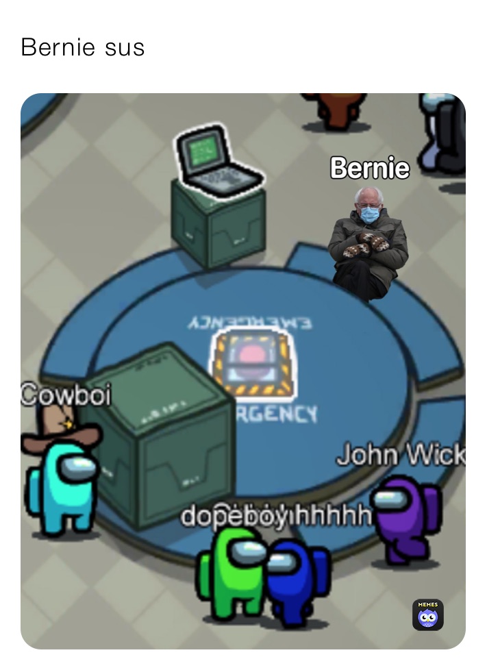 Bernie sus